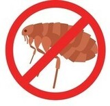 Mosquito Organic Control